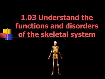 1.03 Understand the functions and disorders of the skeletal system