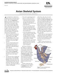 ASC-202: Avian Skeletal System - UK College of Agriculture