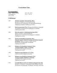 MeritfÃ¶rteckning/CV (114kB) - HÃ¶gskolan i SkÃ¶vde