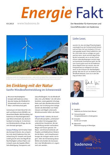 EnergieFakt 03/2013 - badenova AG & Co. KG