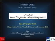 NUFRA 2013 - FIAS