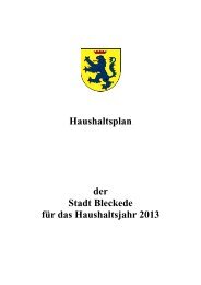 Haushaltssatzung und Haushaltsplan 2013 - Bleckede