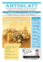 Ausgabe 50. KW 2013 - Bad Schandau