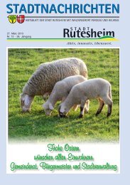 Ausgabe Nr. 13 vom 27. März 2013, Teil I - Rutesheim