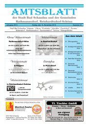 Ausgabe 46. KW 2013 - Bad Schandau