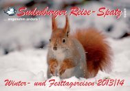 Leistungen - Sudenburger Reise-Spatz