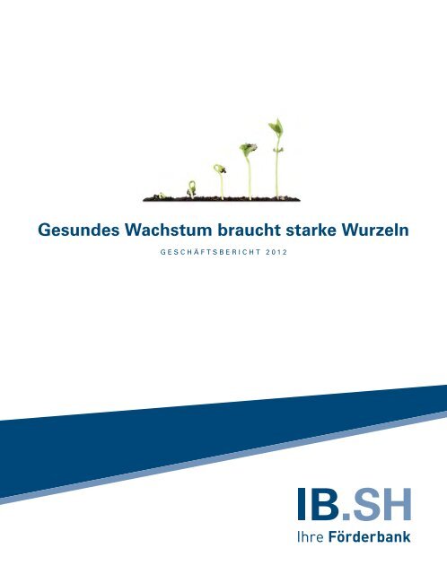 PDF für den Download - Investitionsbank Schleswig-Holstein