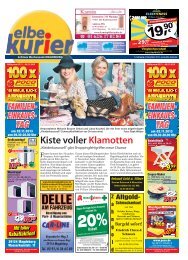 Magdeburg - Der elbe kurier