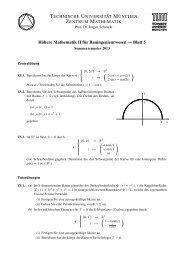 Höhere Mathematik II für Bauingenieurwesen — Blatt 5