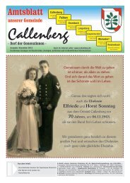 Amtsblatt - Gemeinde Callenberg