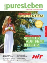 Sommer Teller AUF dEM - Hit