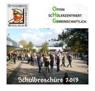 Schulbroschüre 2013 - Das Ottheinrich Gymnasium Wiesloch