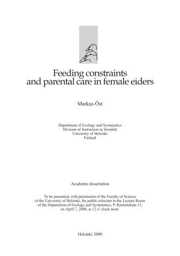 Feeding constraints and parental care in female eiders