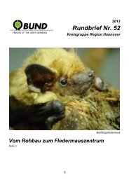 Rundbrief Nr. 52 - Frühjahr 2013 - BUND Kreisgruppe Region ...