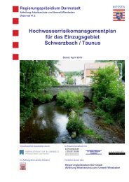 Hochwasserrisikomanagementplan für den Schwarzbach/Taunus