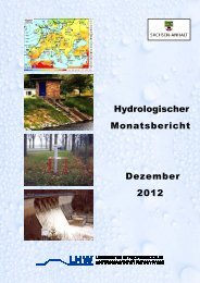 Hydrologischer Monatsbericht Dezember 2012 - LHW Sachsen-Anhalt