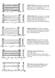 pdf-Datei
