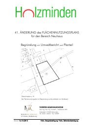 41. ÄNDERUNG des FLÄCHENNUTZUNGSPLANS ... - Holzminden