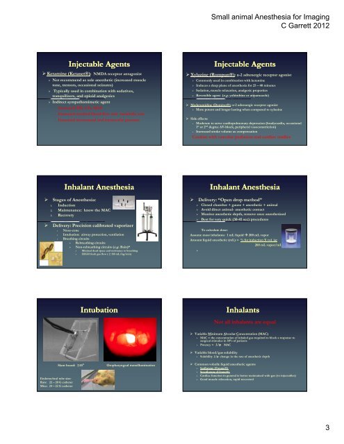 Overview Key Concepts Anesthetic Management Anesthestic ...