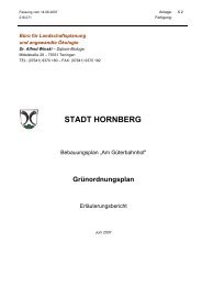 Anlage 6.2 Grünordnungsplan Erläuterungen - Hornberg