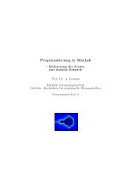 Programmierung in MatLab - public.fh-wolfenbuettel.de - Ostfalia ...