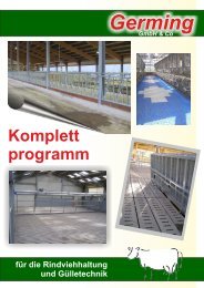 Gesamtprogramm-2013 - Germing