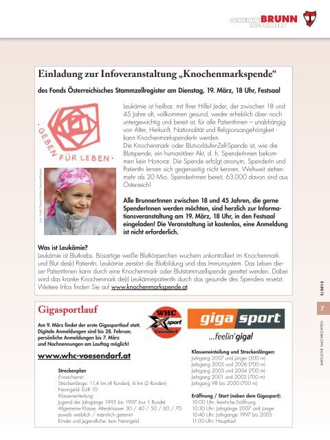 Gemeindezeitung 2/2013 - Brunn am Gebirge