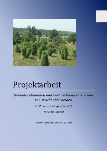 Projektbericht als PDF