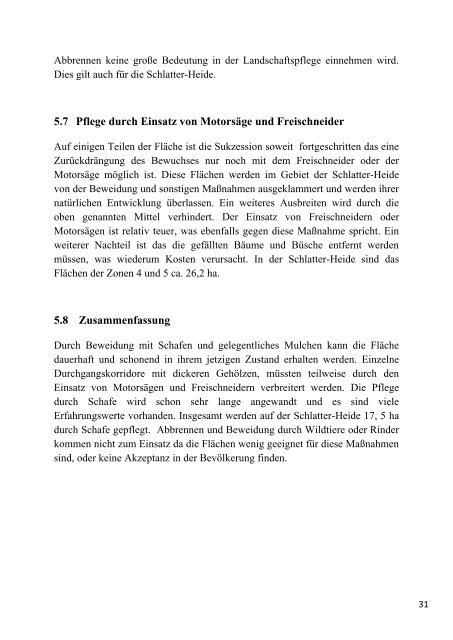 Projektbericht als PDF