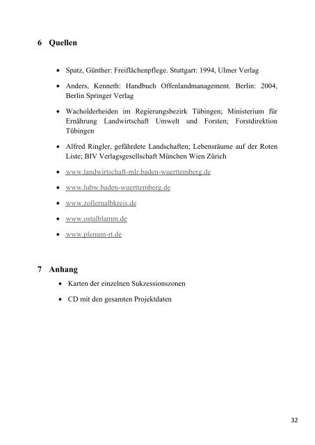 Projektbericht als PDF