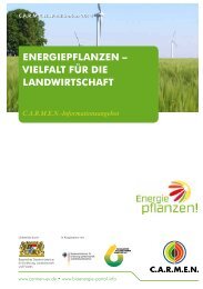 EnErgiEpflanzEn – ViElfalt für diE landwirtschaft - CARMEN