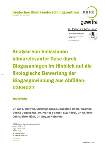 Download - Deutsches Biomasseforschungszentrum