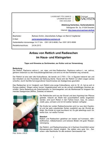 Rettich und Radieschen [Download,*.pdf, 0,16 MB] - Landwirtschaft ...