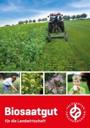 bienenfreundliche blumenwiese saatgut Bienenweide Saatgut, nektarreiche bienenfreundliche (Wild)Blumen, 100g –  beegut