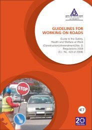 Working on Roads Guidelines - Health and Safety Authority