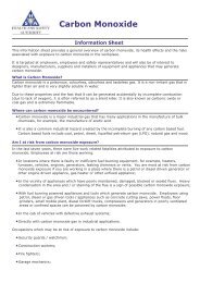 Carbon Monoxide.pdf - Health and Safety Authority
