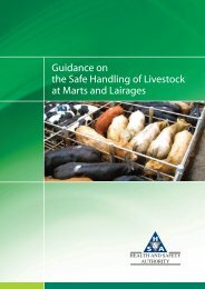 Guidance on the Safe Handling of Livestock at Marts and Lairages