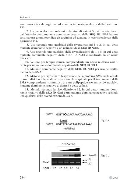 0-TESTO COMPLETO.pdf - Fondazione Santa Lucia