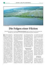 Die Folgen einer Fiktion - EIKE