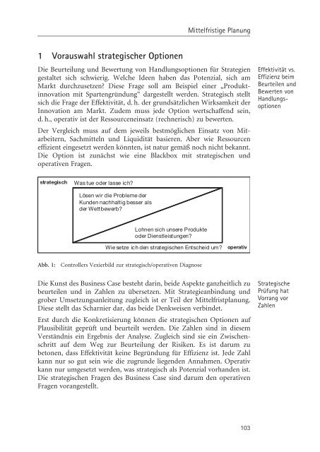 Business Case: Controlling-Instrument zur Prüfung strategischer ...