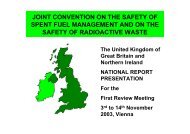 UK presentation to the first review meeting - HSE