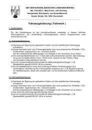 Fahrwerk (.pdf) - Burgenland.at