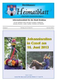 Johannisreiten in Casel am 16. Juni 2013 ... - Stadt Drebkau