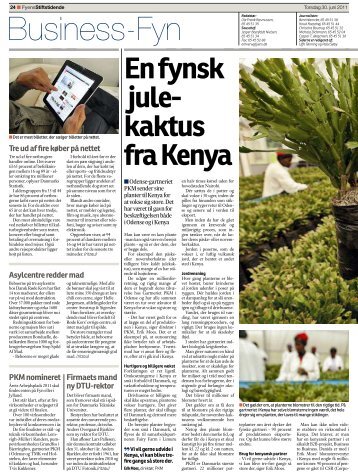 Enfynsk jule- kaktus fraKenya - Gartneriet PKM