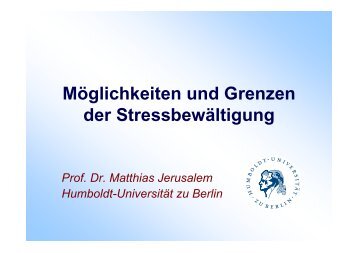 Möglichkeiten und Grenzen der Stressbewältigung