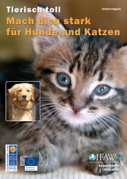 Mach Dich stark für Hunde und Katzen - International Fund for ...