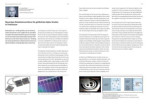 Wehrwissenschaftliche Forschung Jahresbericht 2012