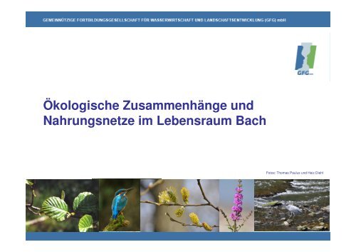 13_tlwl_v1-tp-Nahrungsbaum Lebensraum-Bach - GfG