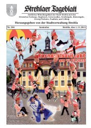 Strehlaer Tageblatt - Stadt Strehla