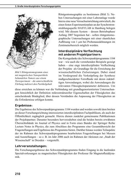 TU Dresden: Forschungsbericht 2006 - im ...